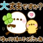 飛び出す♪もっちりヒヨコ兄弟夏