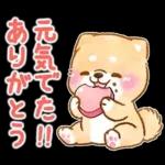 愛する人に感謝を送る❤️いやしばいぬ赤柴