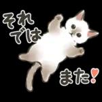 毎日ごろごろ☆猫たちのスタンプ