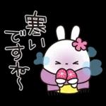 優しい2!!かわいい白うさぎ