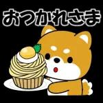 いいね	👍👍👍