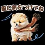 癒しポメラニアンの春のあいさつ