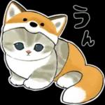 శోభు ఆవ 8 LuLw