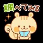 シマリスのマリーちゃん