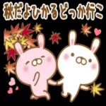 大好きなひかるに送る秋とハロウィン