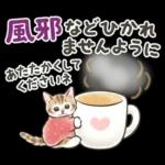 冬の毎日と年末年始☆猫たちのスタンプ