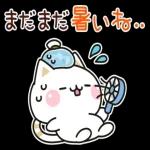 秋の気づかいのできるネコ♪飛び出す！