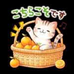 猫のつめあわせ【お正月】