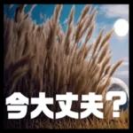 今日も
暑いね･･･