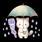 雨だね!