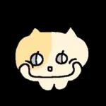 말수가 적은 고양이