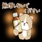 猫と仲間達♡日常。～