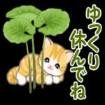 いつまでも元気で
いてください
感謝