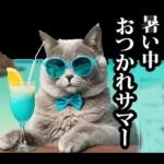夏☆にゃんこ