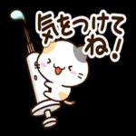 毎日楽しい★おちゃめなアメショ