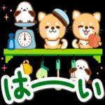 可愛い犬のスタンプです🐶〜わんわん〜