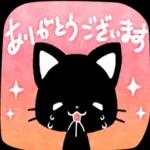 かわいい黒猫ちゃんの一日