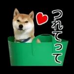 Premium 柴犬こてつ君*スタンプ第二弾