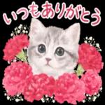 かわいらしい小さな花だ