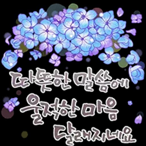 그대에게 오늘도 사랑메세지