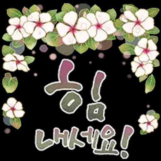 그대에게 오늘도 사랑메세지