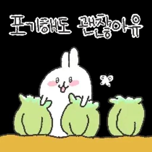 충청도토끼의 좋은날이 올거예유~