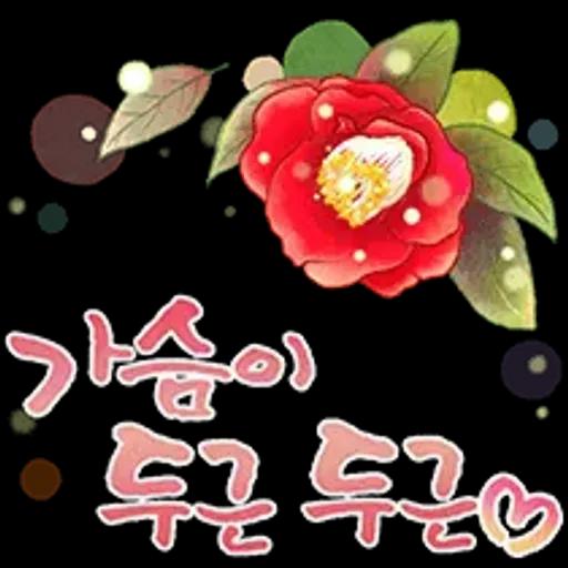 그대에게 오늘도 사랑메세지