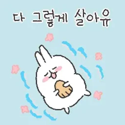 충청도토끼의 좋은날이 올거예유~