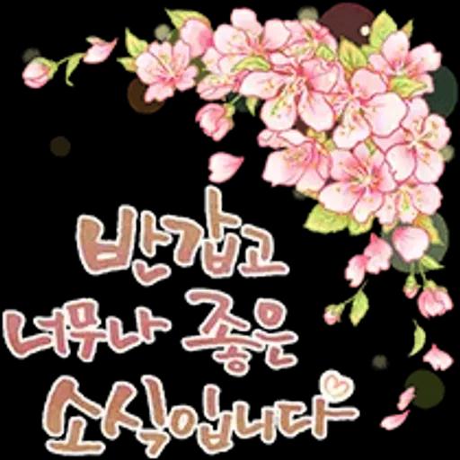 그대에게 오늘도 사랑메세지