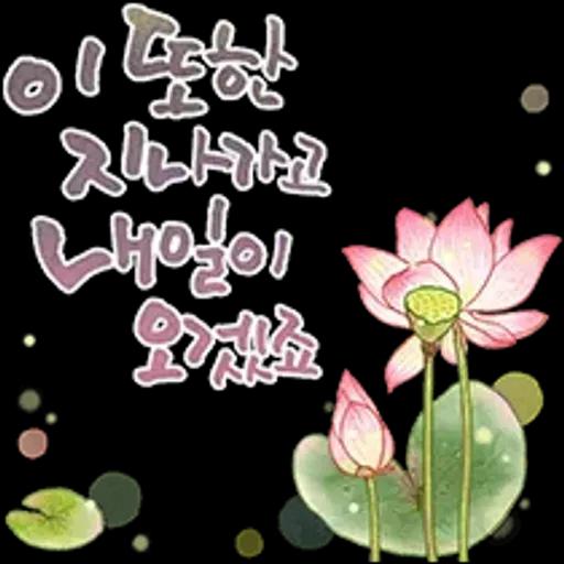 그대에게 오늘도 사랑메세지