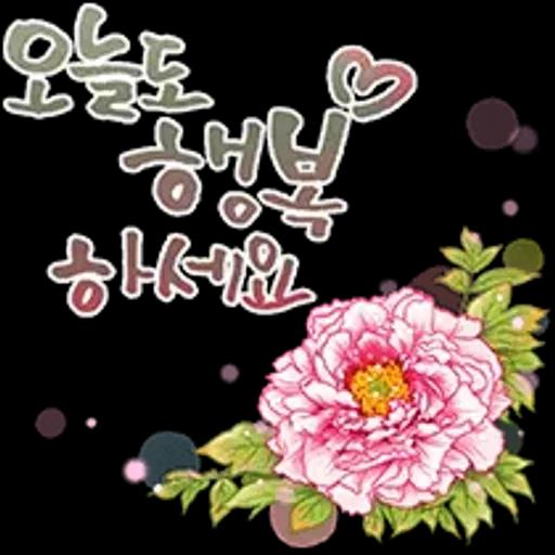 그대에게 오늘도 사랑메세지