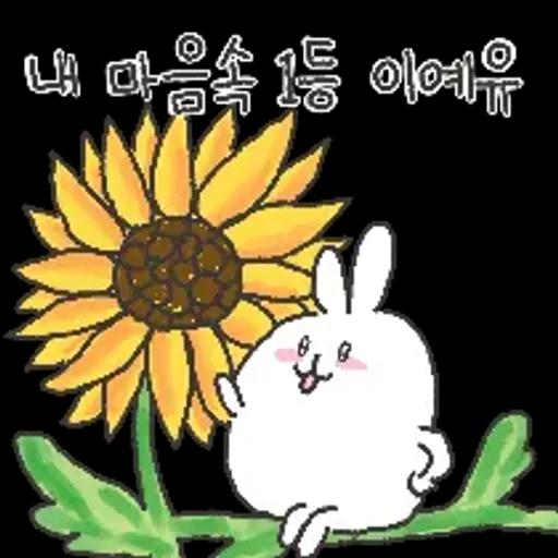 충청도토끼의 좋은날이 올거예유~