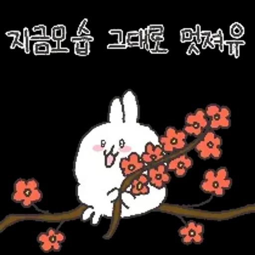 충청도토끼의 좋은날이 올거예유~