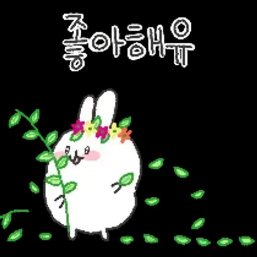 충청도토끼의 좋은날이 올거예유~