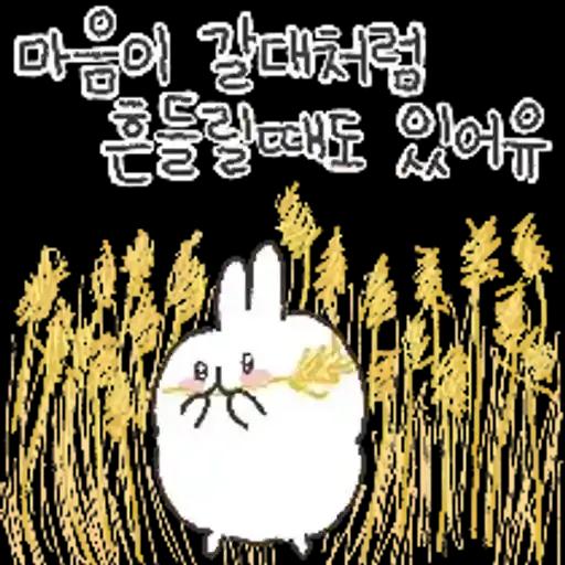 충청도토끼의 좋은날이 올거예유~