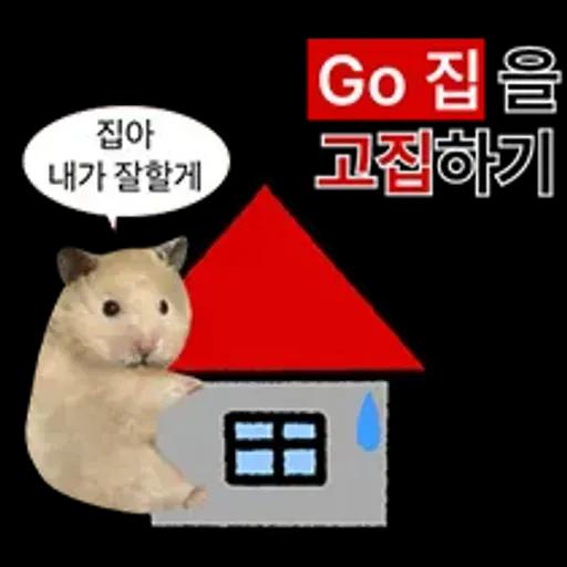 거친 세상을 살아가는 햄스터