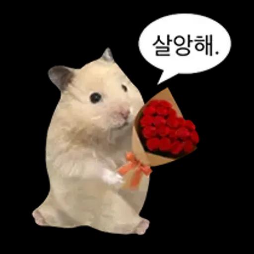 거친 세상을 살아가는 햄스터