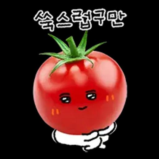 청과물 그리고 눈빛