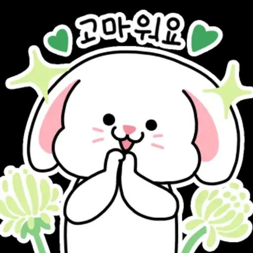 행복한 토끼 몽글이의 하루