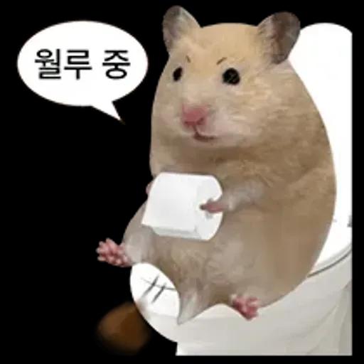 거친 세상을 살아가는 햄스터