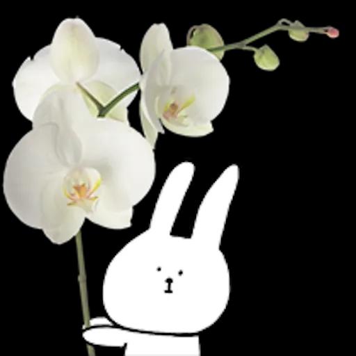 이야기 꽃이 피었습니다 