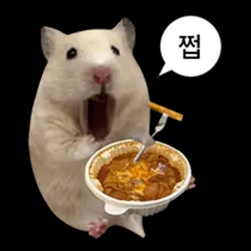 거친 세상을 살아가는 햄스터