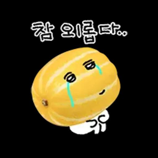 청과물 그리고 눈빛