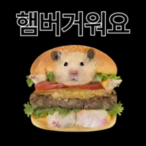 거친 세상을 살아가는 햄스터