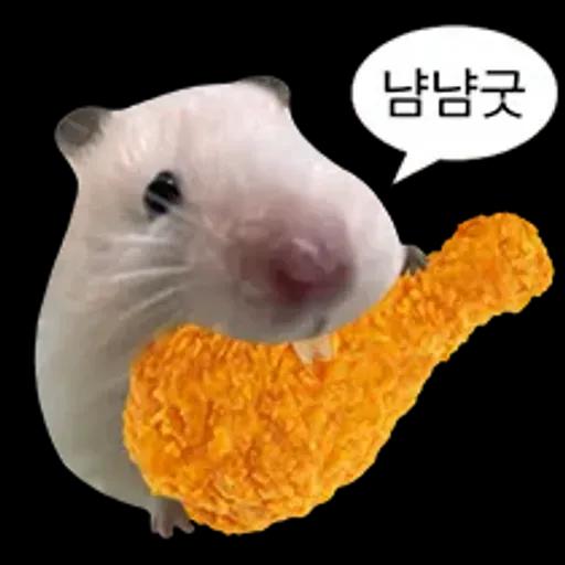 거친 세상을 살아가는 햄스터