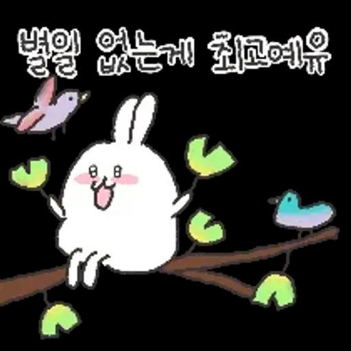 충청도토끼의 좋은날이 올거예유~