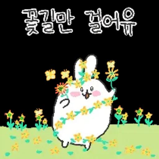 충청도토끼의 좋은날이 올거예유~