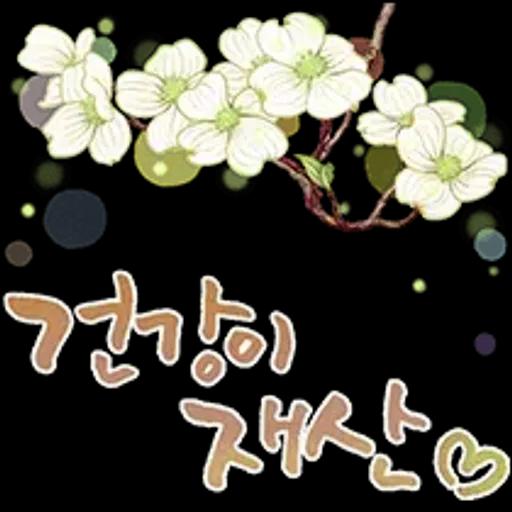 그대에게 오늘도 사랑메세지