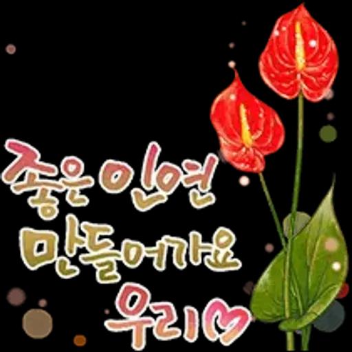 그대에게 오늘도 사랑메세지