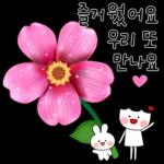 얼굴 보고 싶어요..